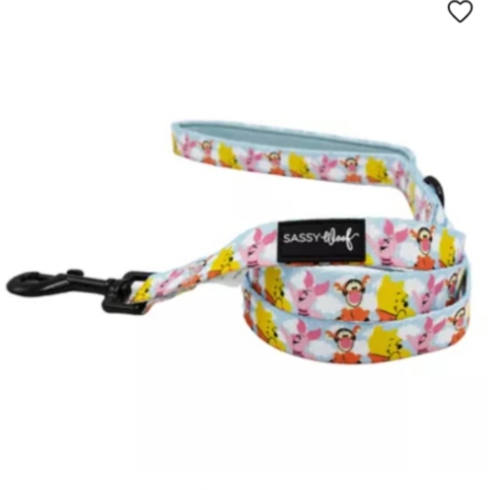 NWT Sassy Woof & Winnie The Pooh Dog Leash